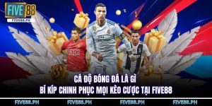 cá độ bóng đá là gì