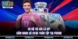 cá độ tài xỉu là gì